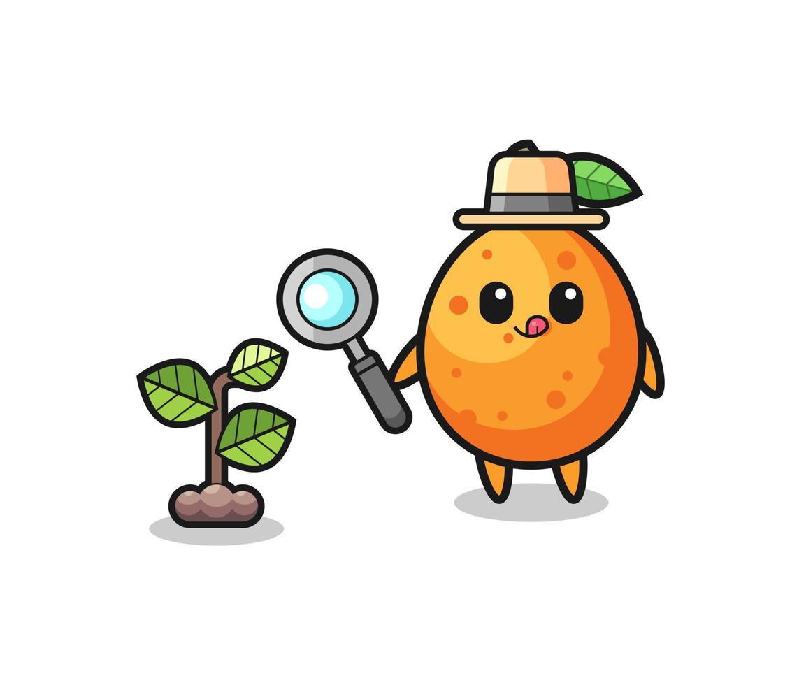 cute kumquat herbalist researching a plants vector