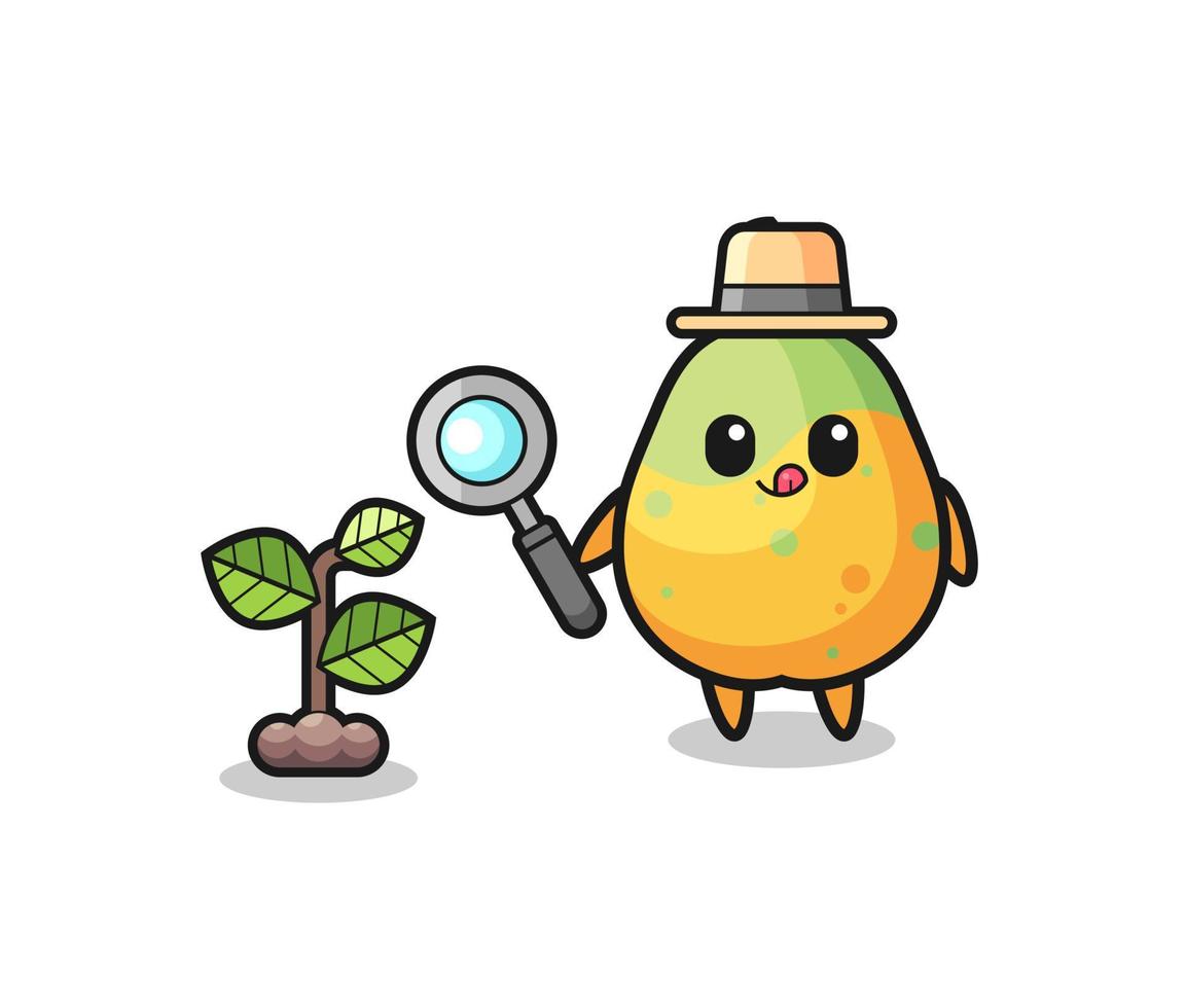 cute papaya herbalist researching a plants vector