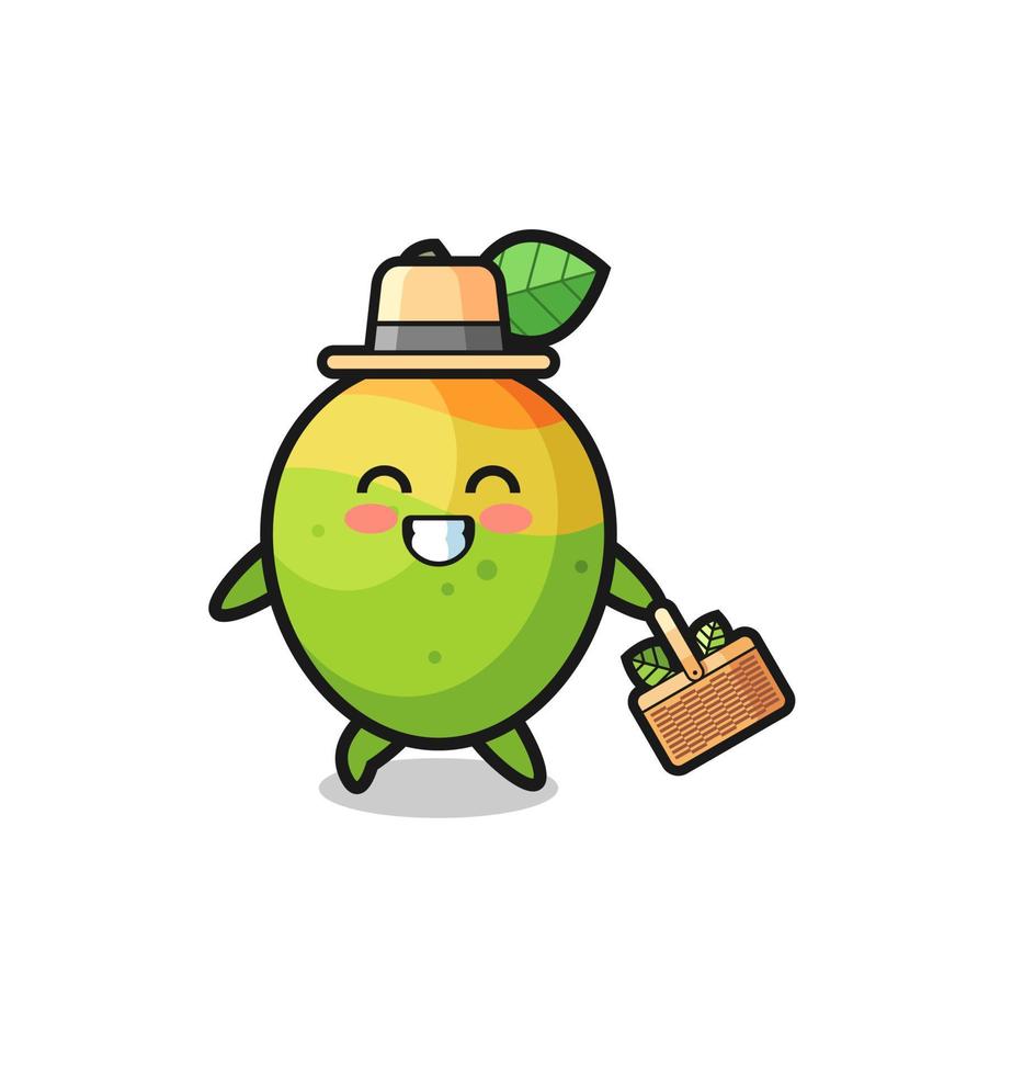 mango herbalist character searching a herbal vector