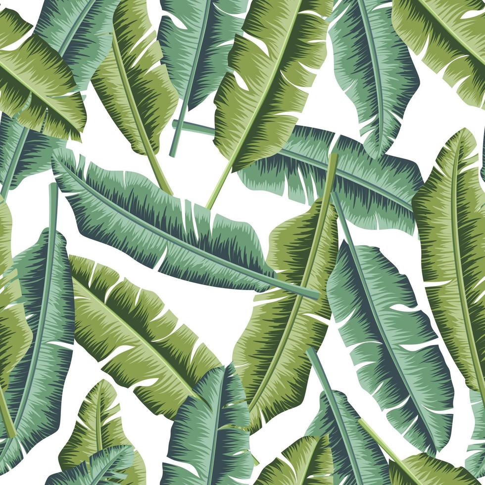 Banana leaves, jungle leaves seamless floral pattern background vector