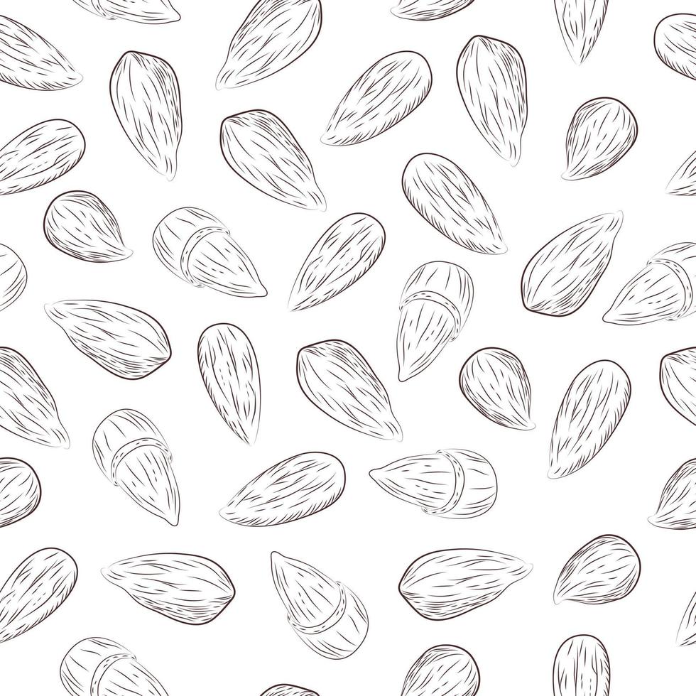 Almond seamless pattern vector