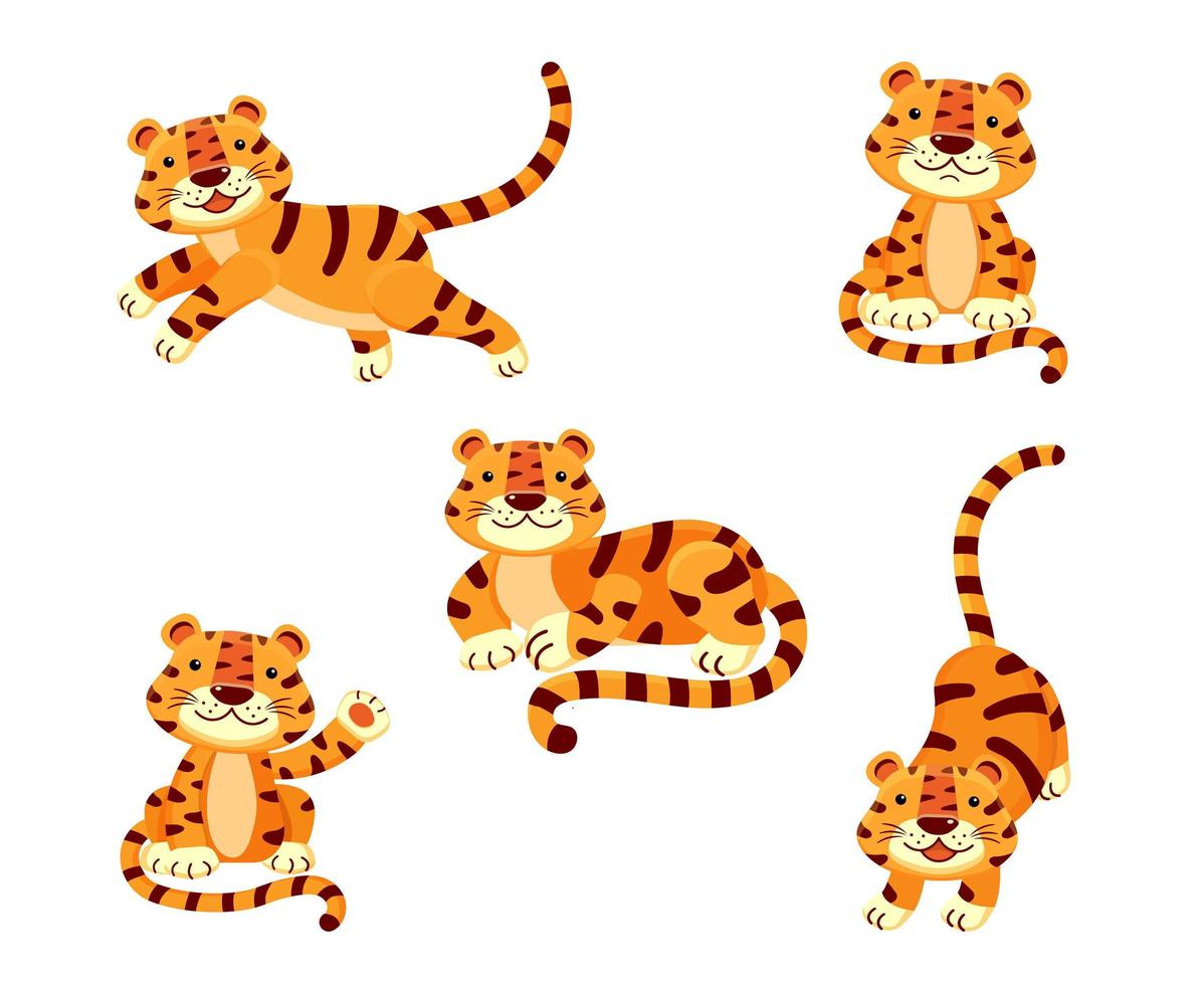 Cute set of illustrations of a tiger in different poses isolated on a white background. vector