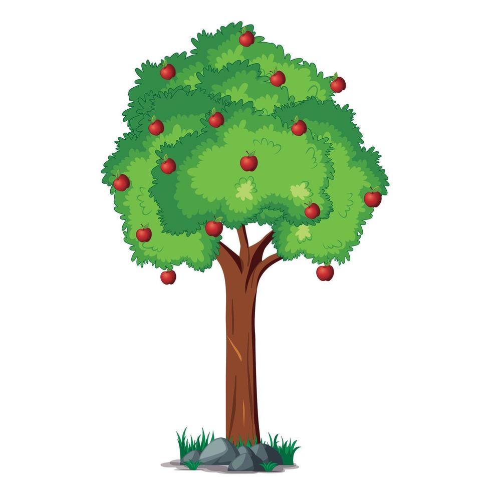 Apple tree on white background vector