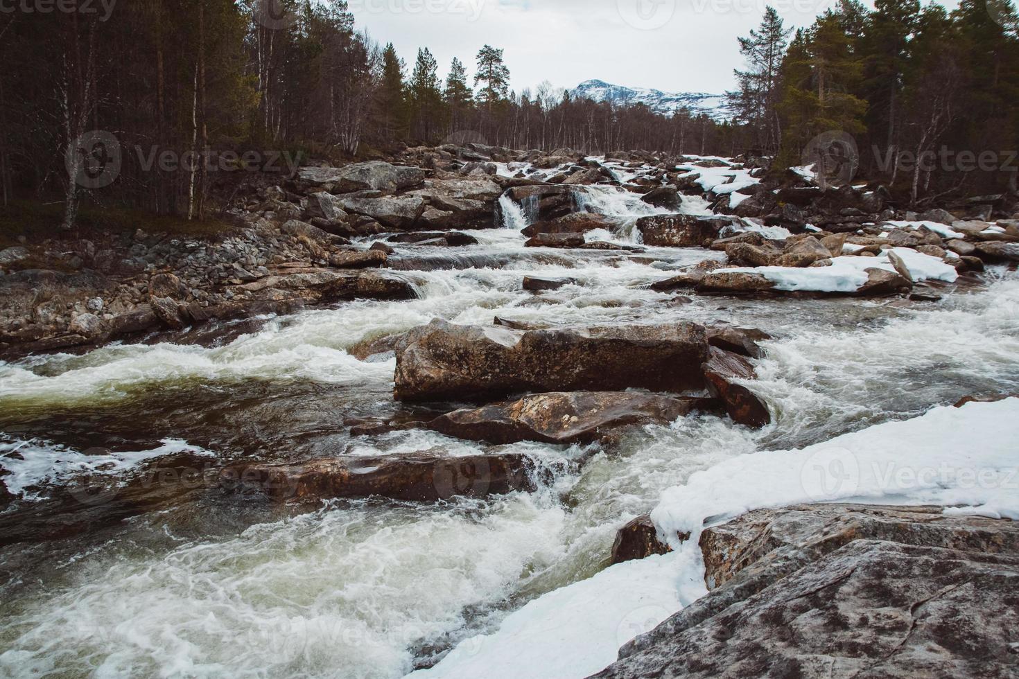 Landscape of mountain river flowing among rocks and forest. Place for text or advertising photo