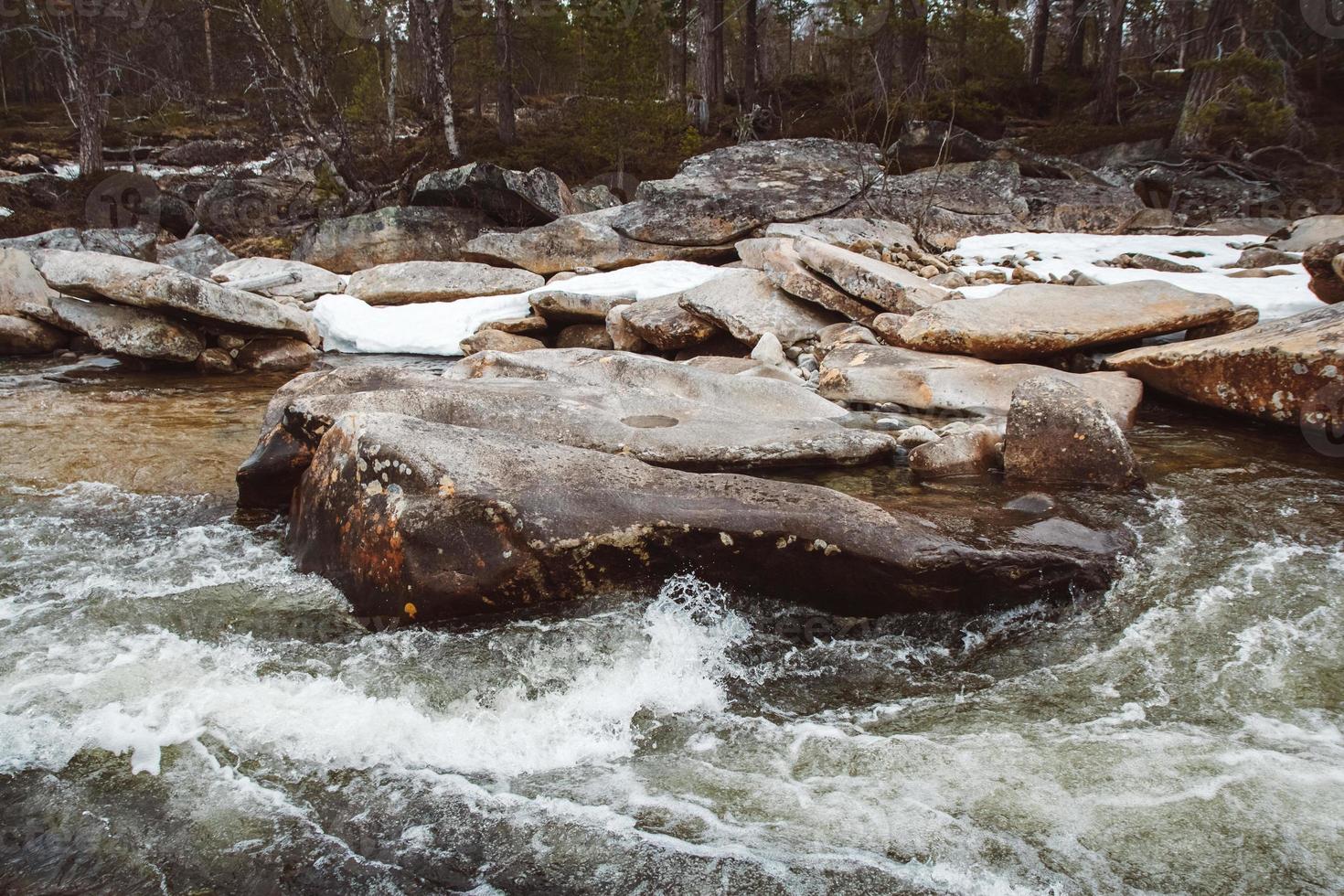 paisaje de río de montaña que fluye entre rocas y bosque. lugar para texto o publicidad foto