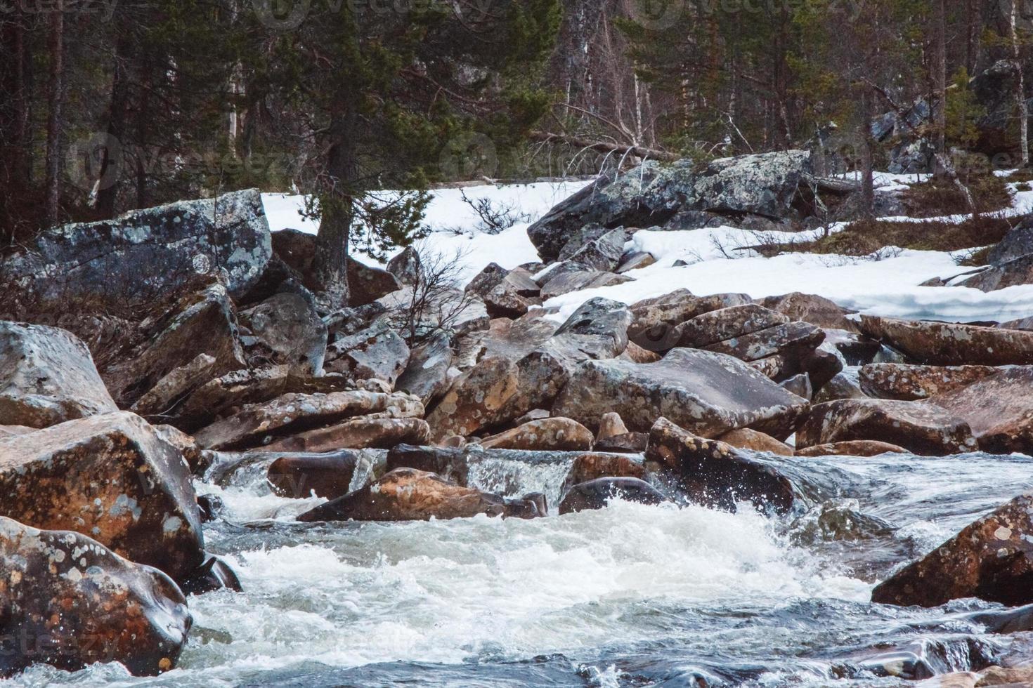 Landscape of mountain river flowing among rocks and forest. Place for text or advertising photo