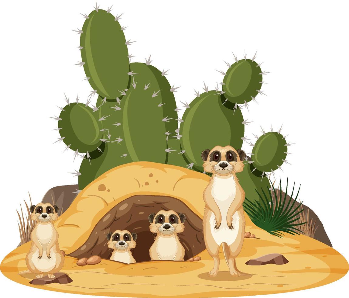 Isolated nature scene with meerkat family vector