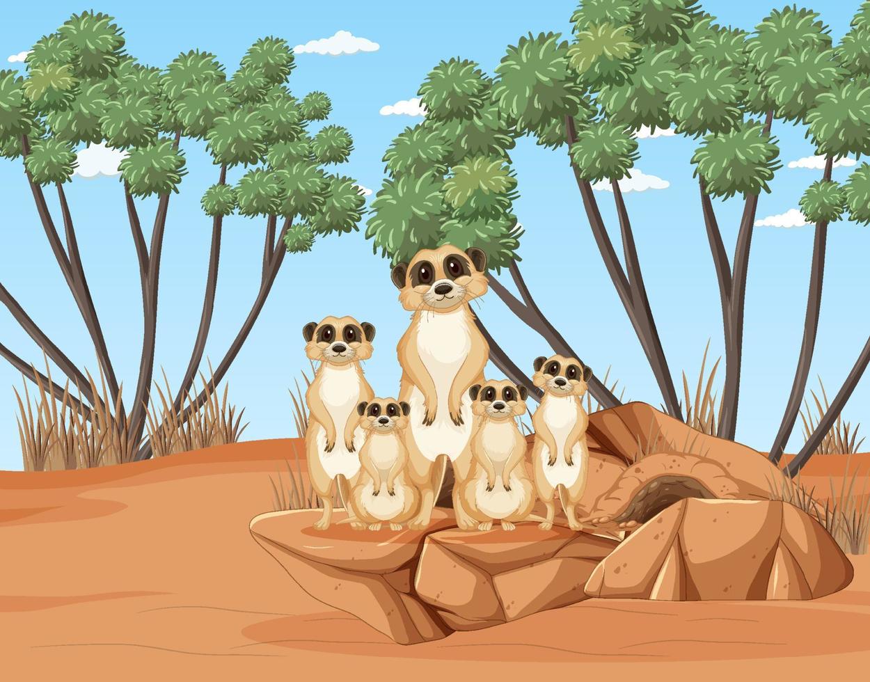 La familia suricata vive en el bosque del desierto. vector
