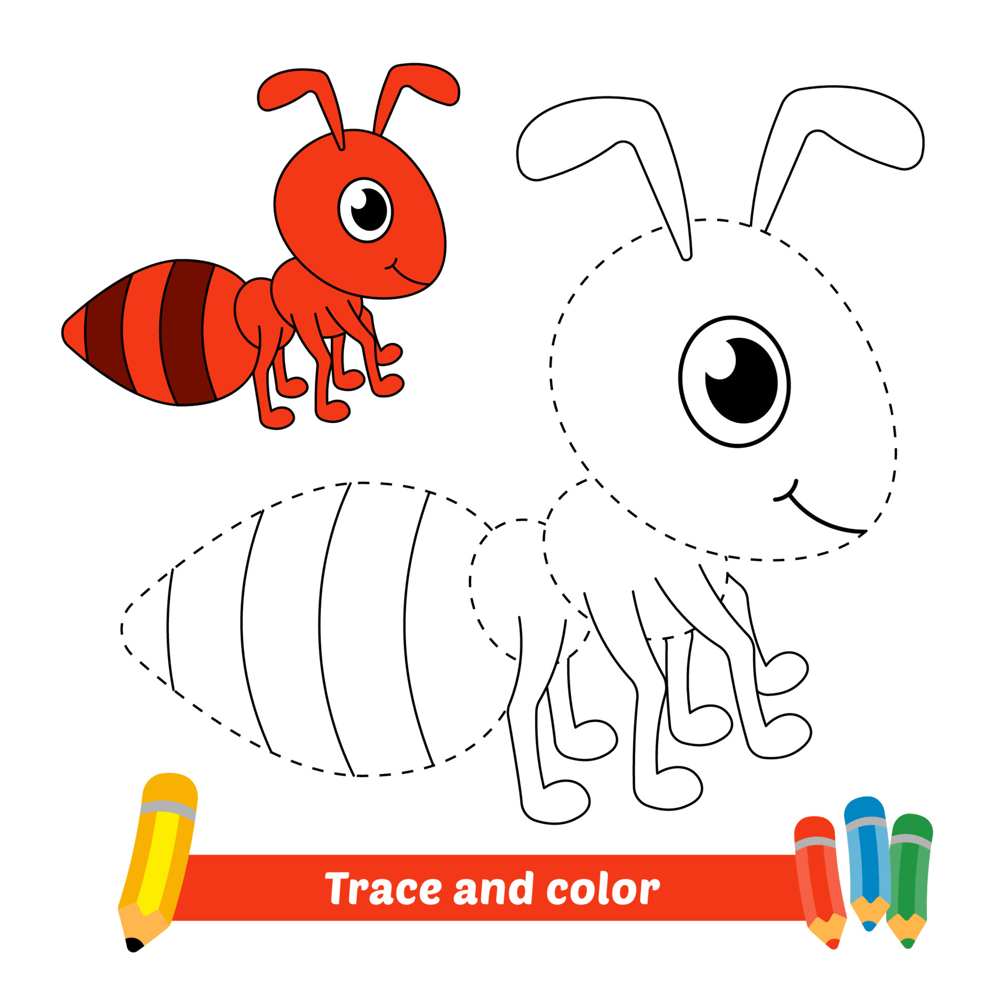 Trace and color for kids, ant vector 5054003 Vector Art at Vecteezy