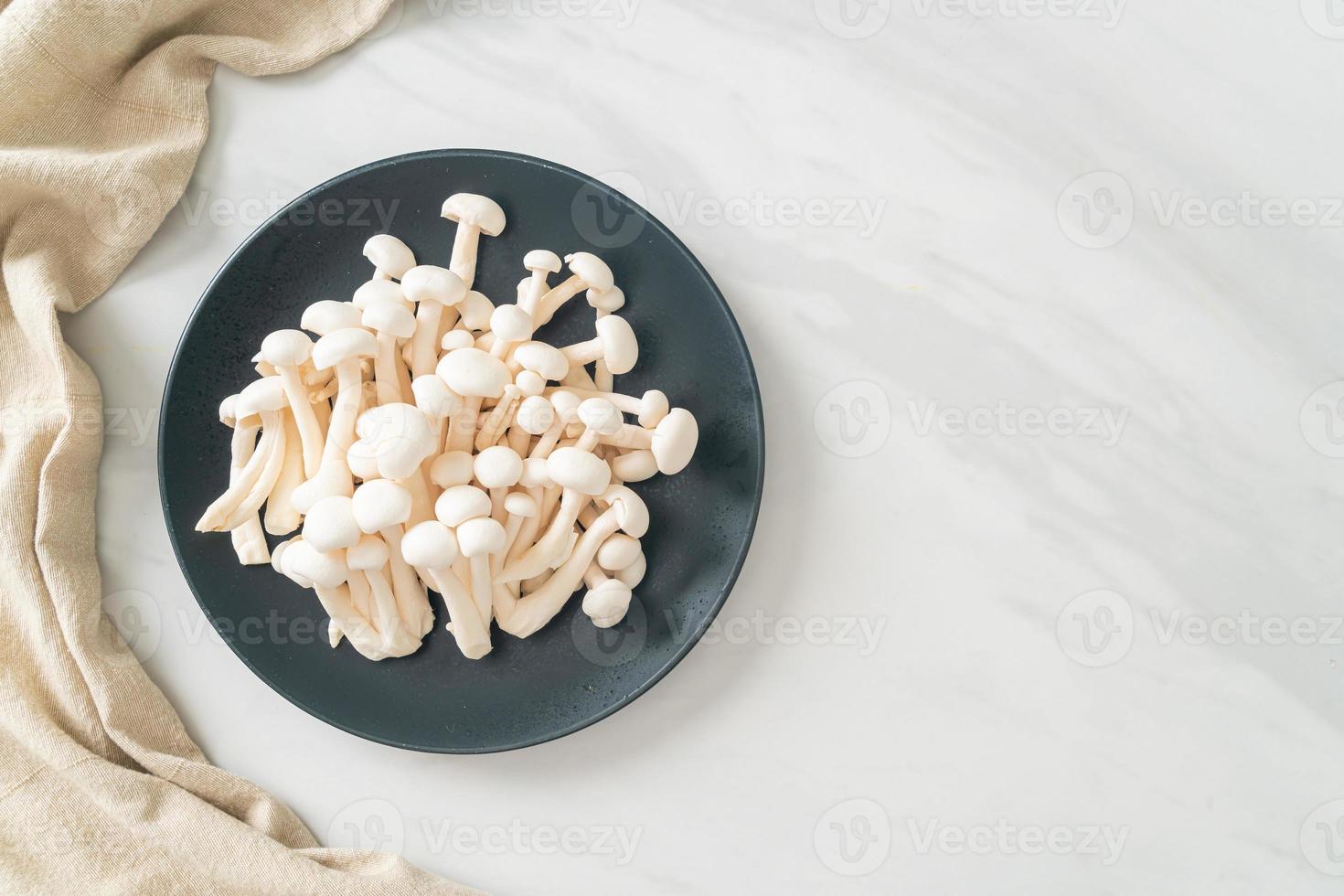 white beech mushroom or white reishi mushroom photo