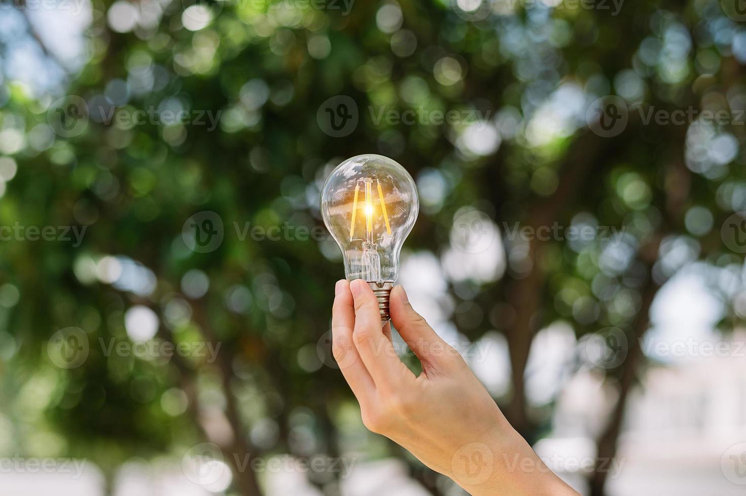 mano que sostiene la bombilla con fondo verde. idea energía solar en la naturaleza foto