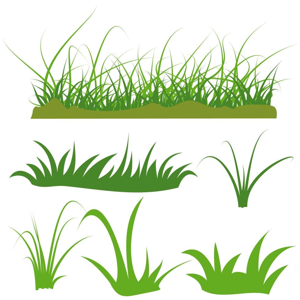 vector green grass isolated on white background