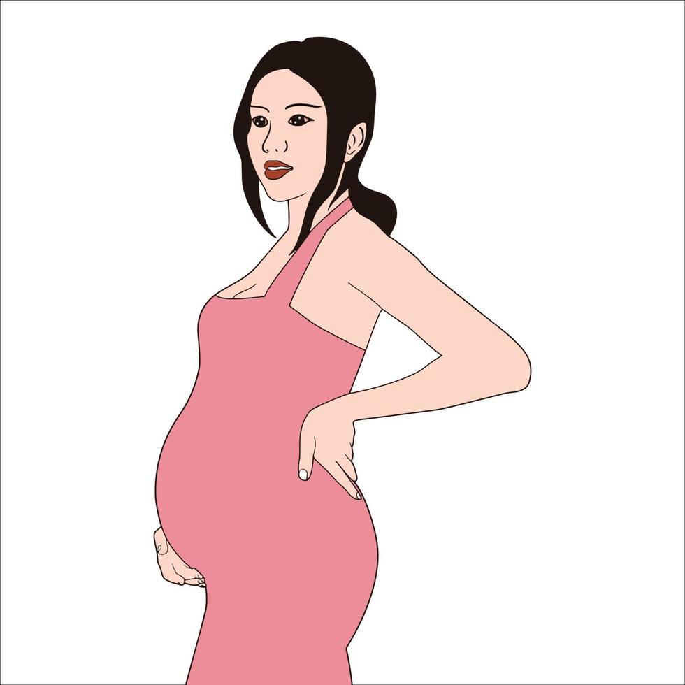 illustration of pregnant women isolated on white background. vector