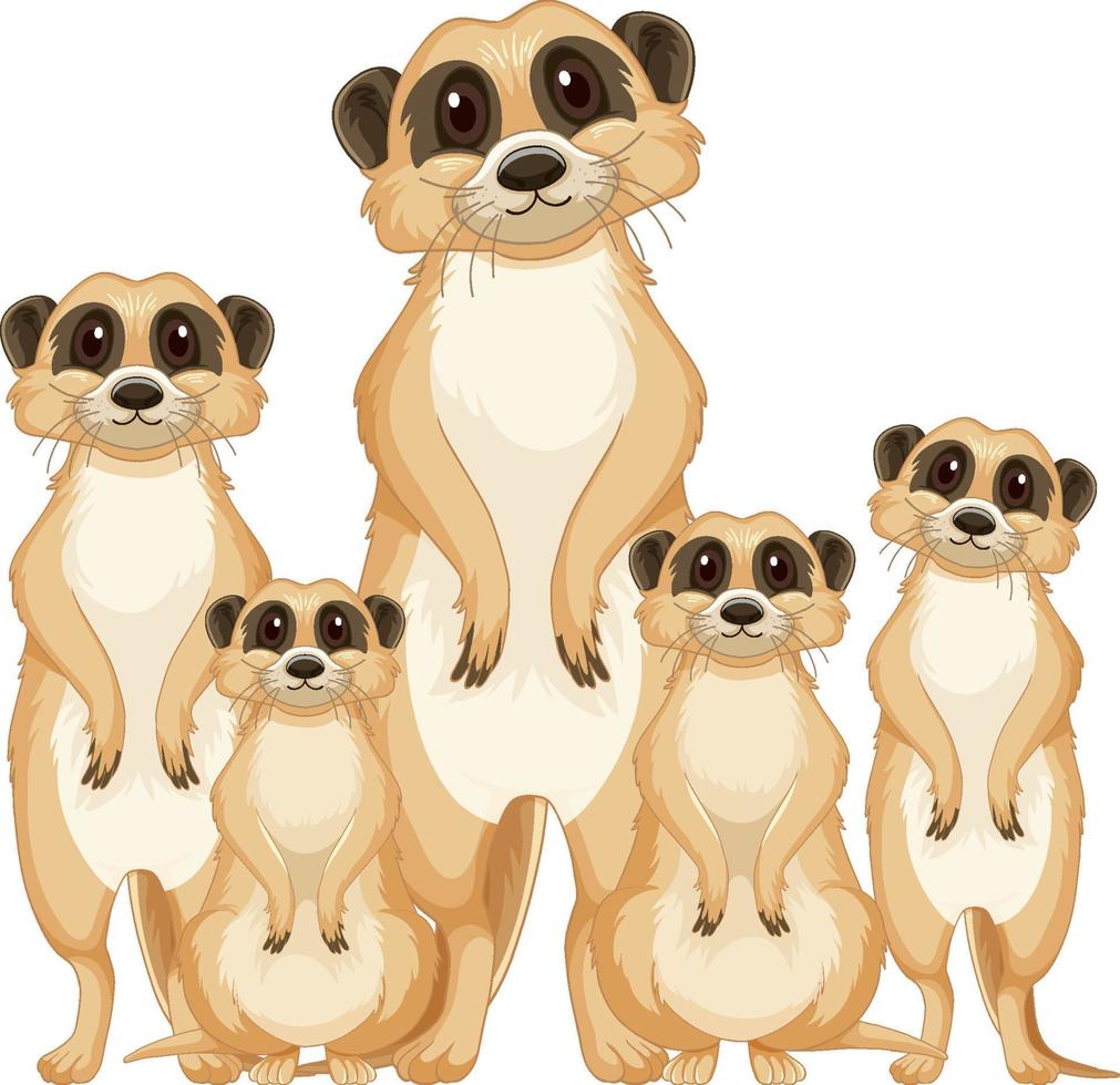 grupo de suricatas en estilo de dibujos animados 5058460 Vector en Vecteezy grupo de suricatas en estilo de dibujos animados 5058460 Vector en Vecteezy