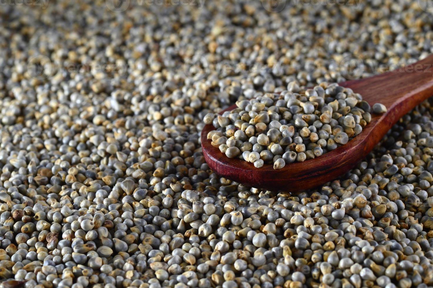 Cerca de bajra de mijo perla con cuchara de madera. foto