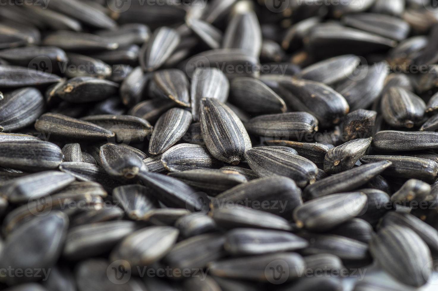 Black sunflower seeds. For texture or background photo