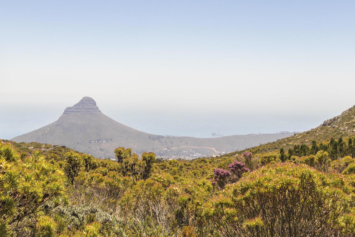 View from Table Mountain on Lion's Head Cape Town. photo