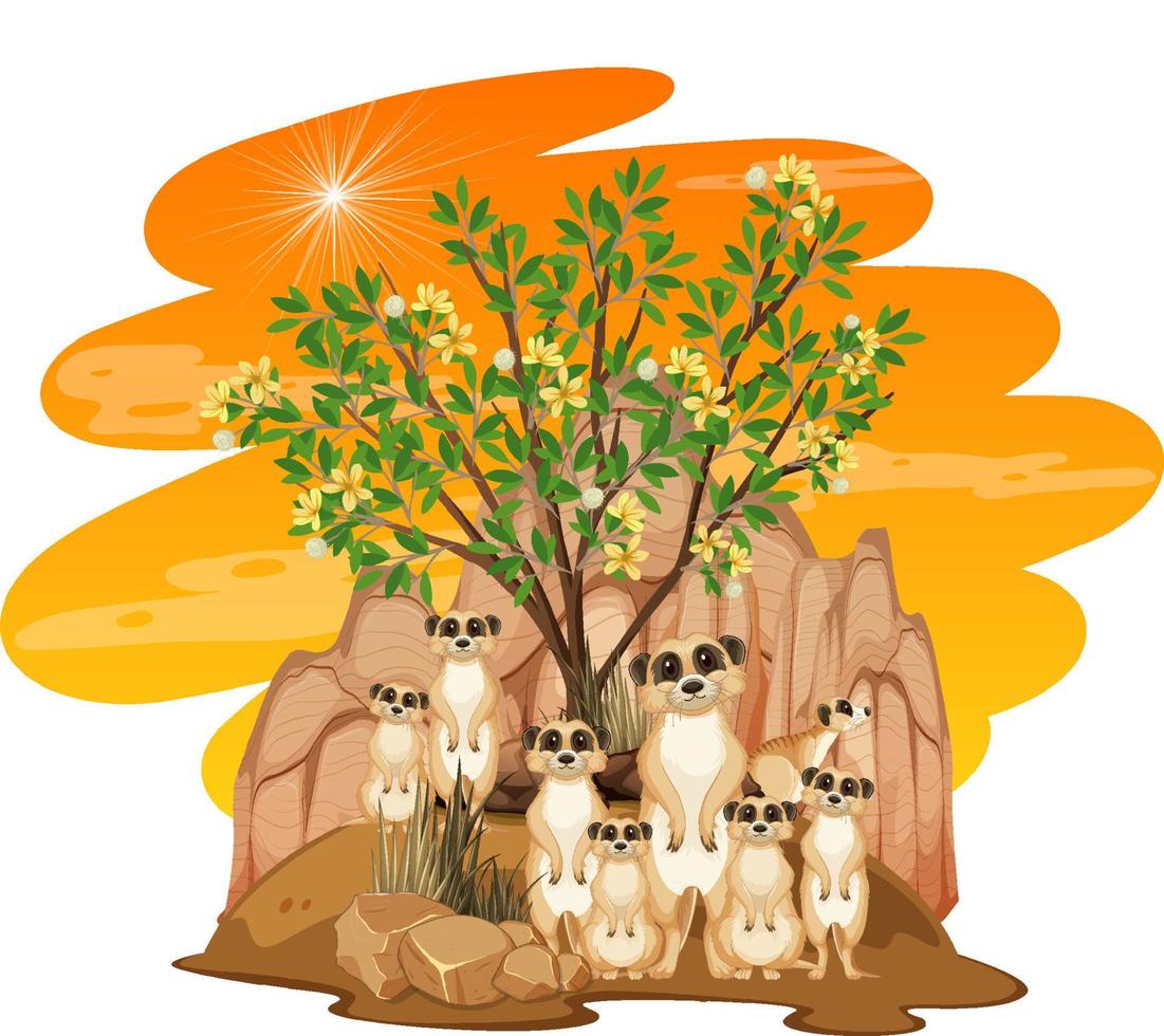 Isolated nature scene with meerkat family vector