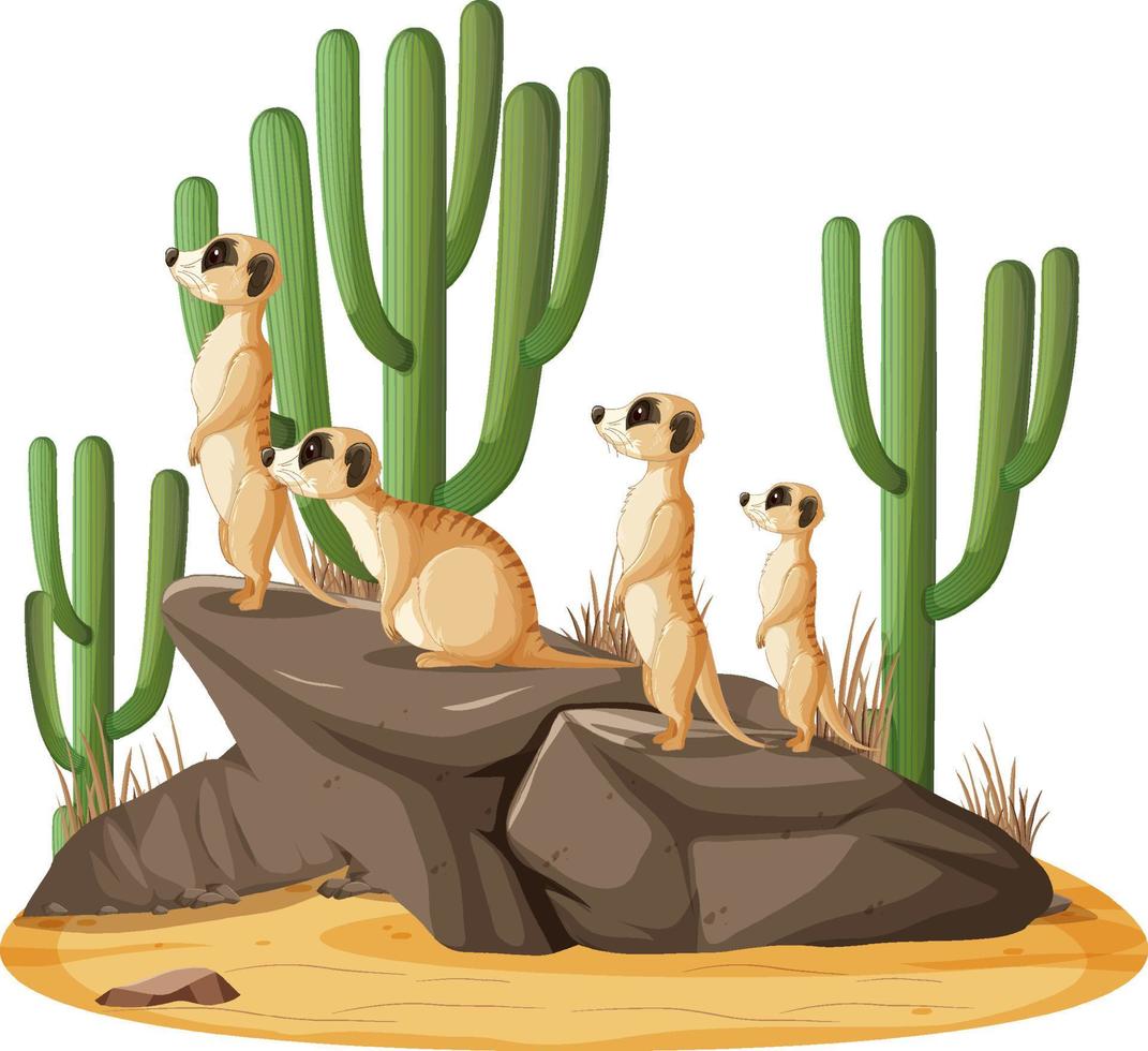 Escena de la naturaleza aislada con la familia suricata vector