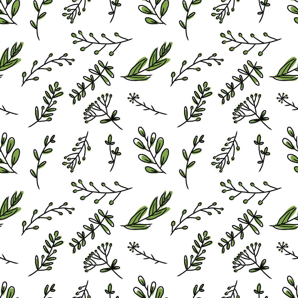 hand drawing seamless pattern botanical greenery leaves vector