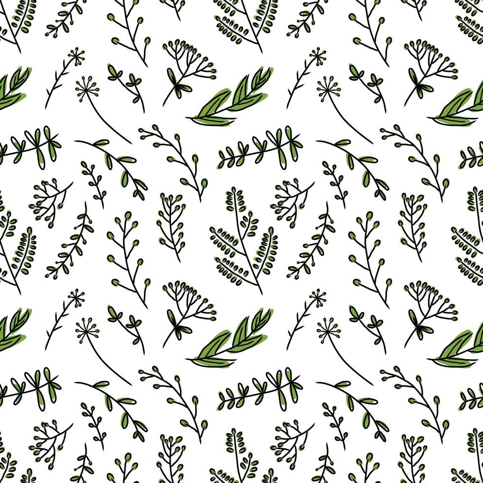 hand drawing seamless pattern botanical greenery leaves vector