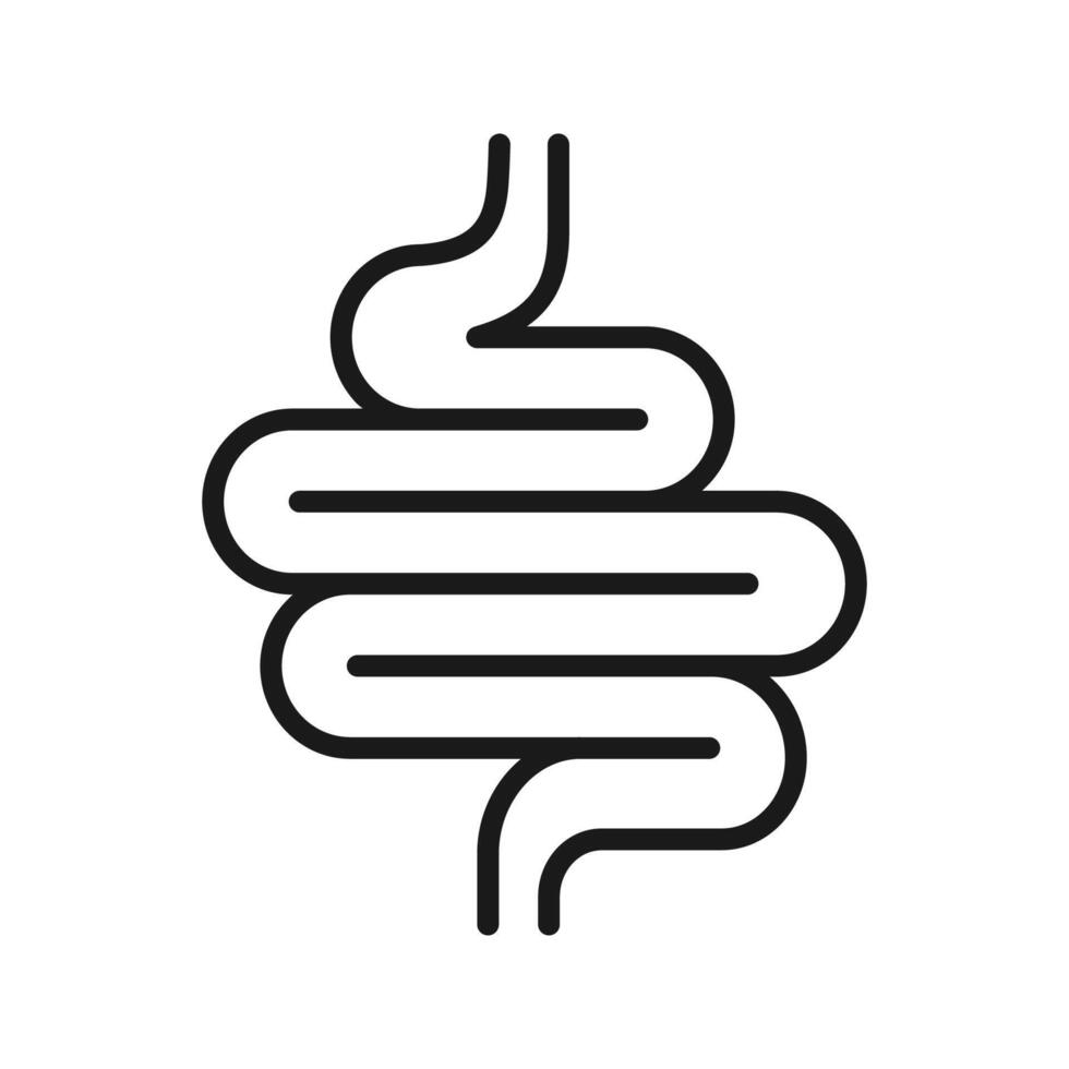 Intestines icon vector, digestion system symbol color editable vector