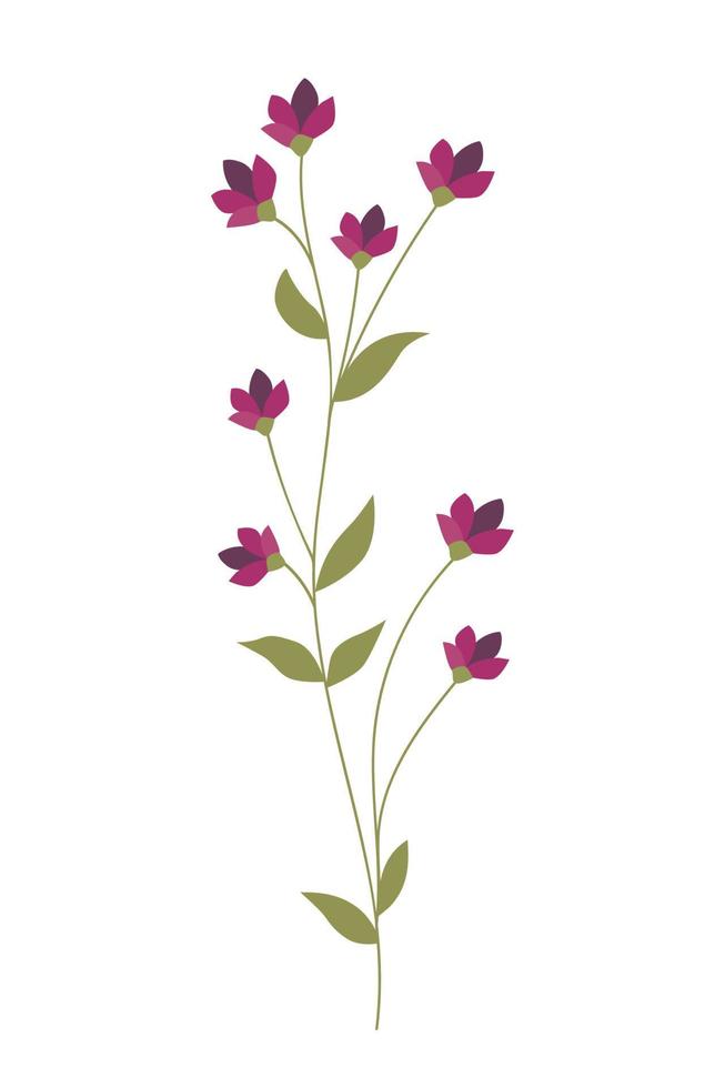 Purple blooming flower. vector