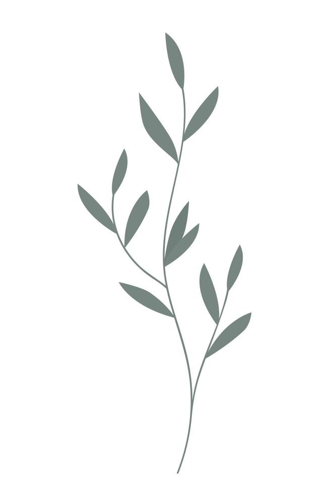 Branch with Leaves. vector