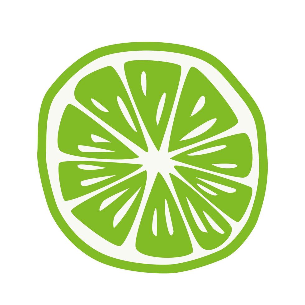 Green Slice of Lime. vector