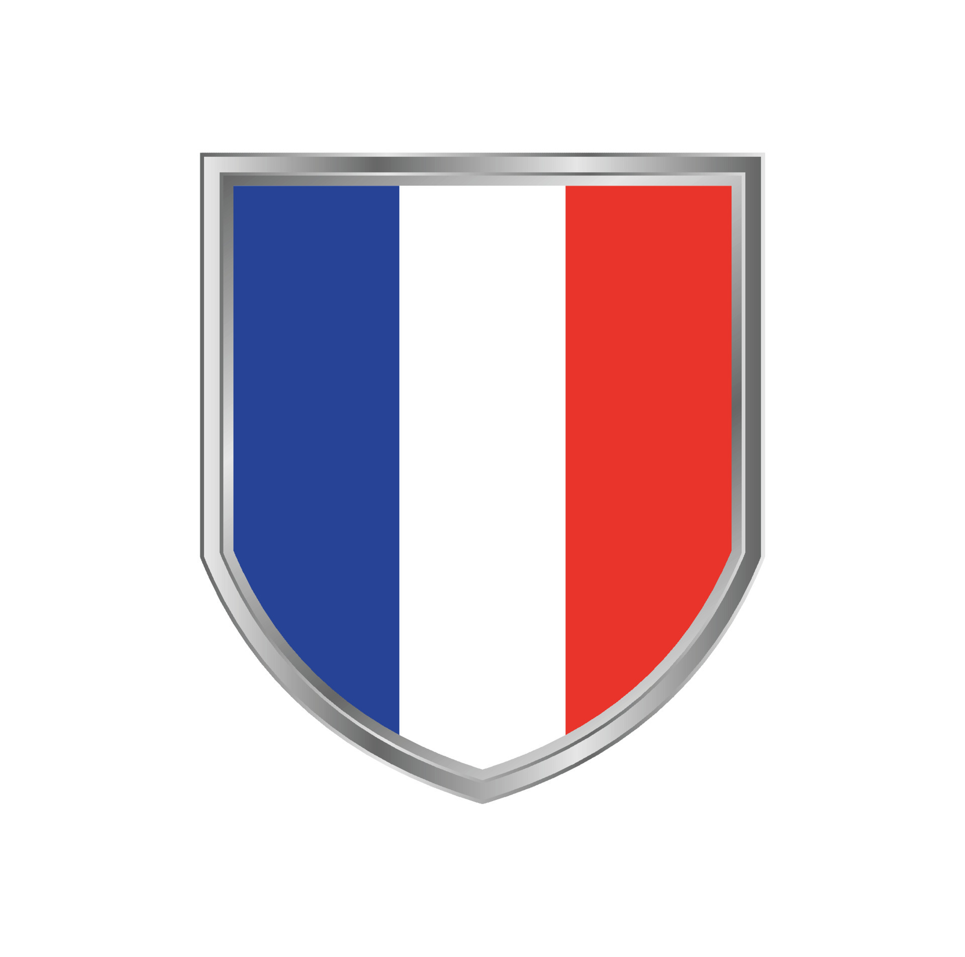 Made in france flag metal icon Royalty Free Vector Image