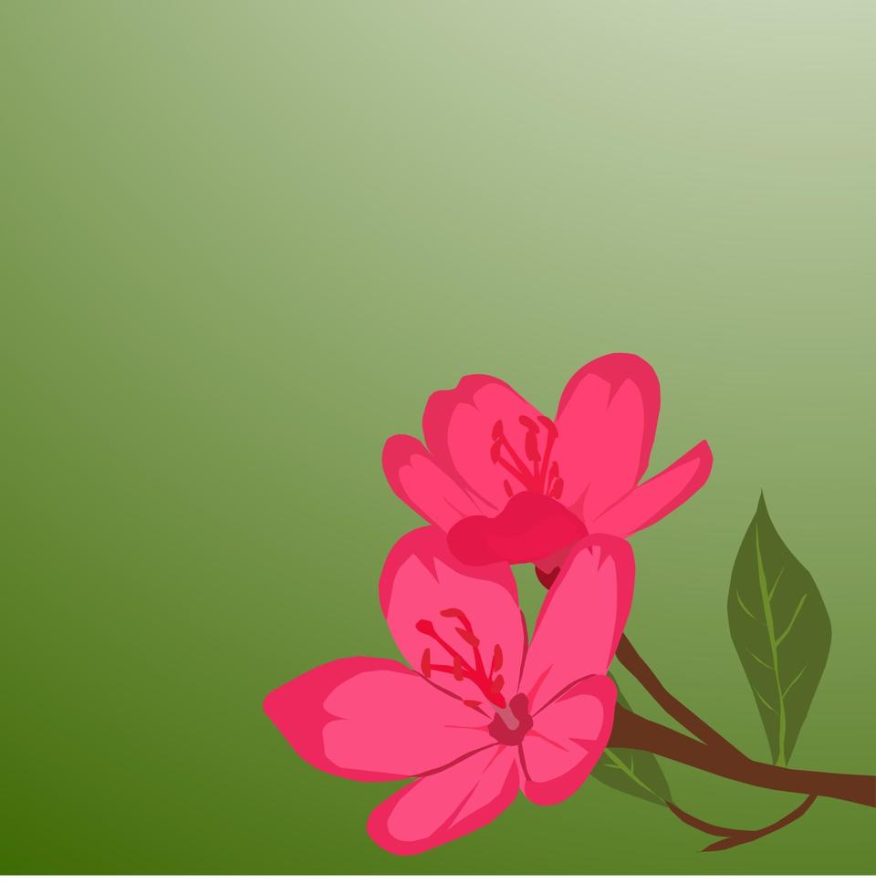 vector closeup of beautiful red flower illustration