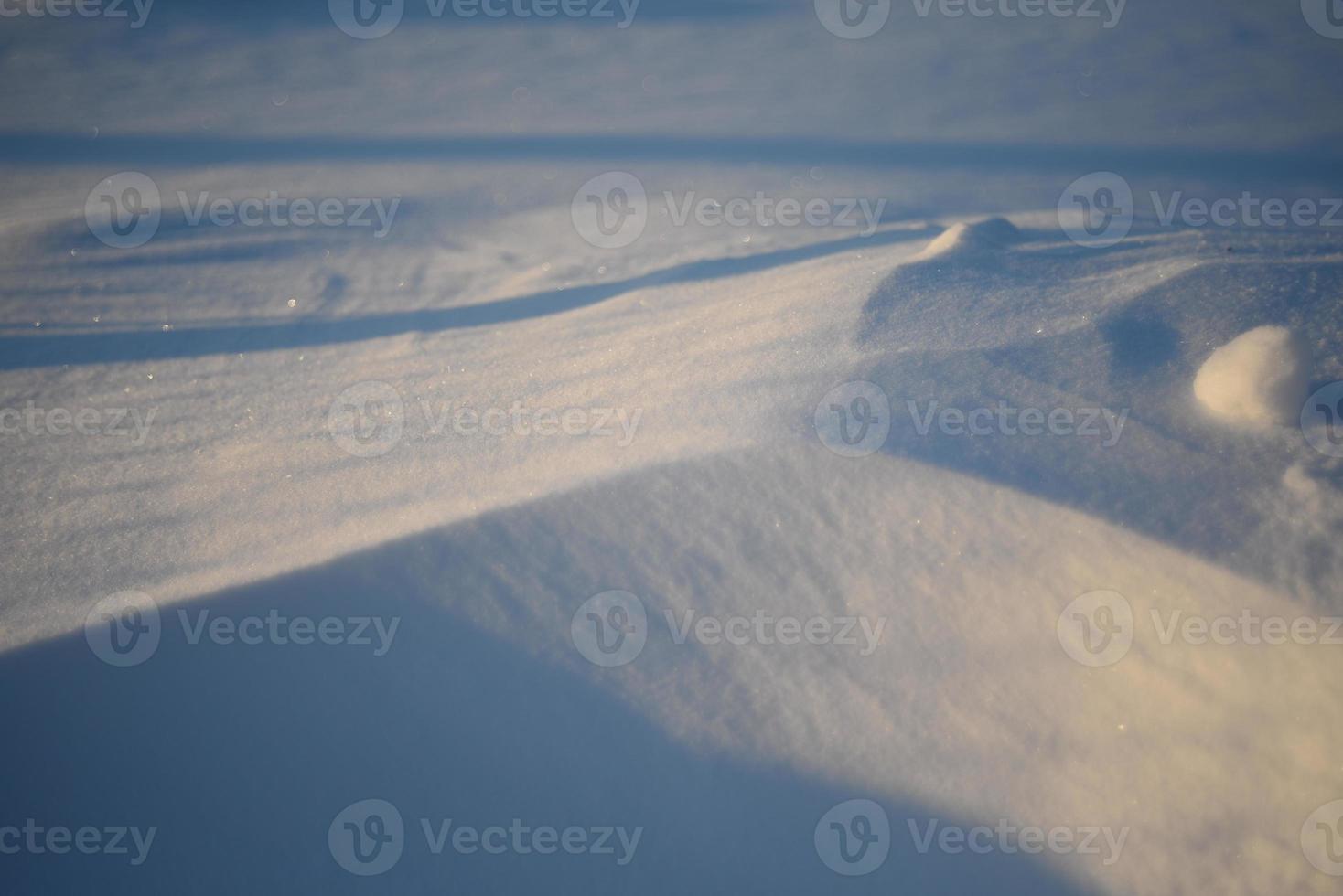 Snowy landscapes and snow close-up in sunbeams. Grass and objects in the snow. photo