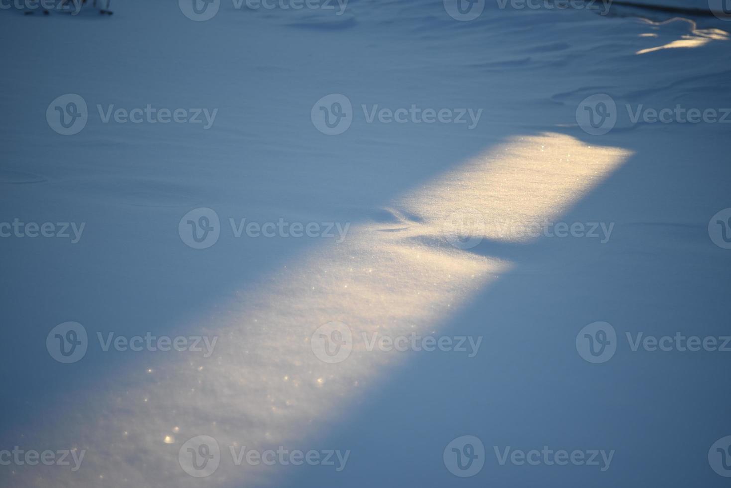 Snowy landscapes and snow close-up in sunbeams. Grass and objects in the snow. photo