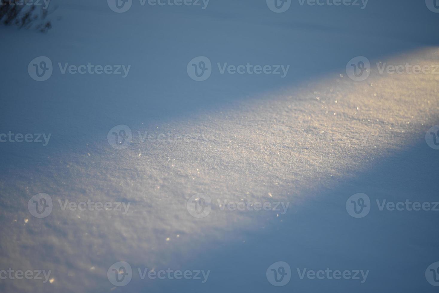 Snowy landscapes and snow close-up in sunbeams. Grass and objects in the snow. photo