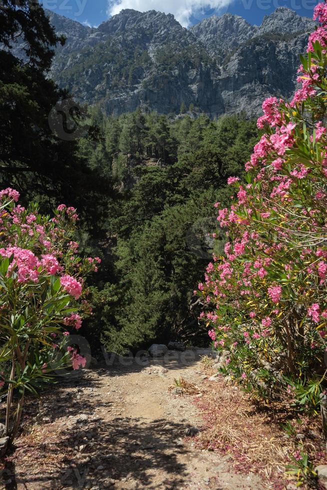 Trekking in Samaria Gorge on the island of Crete, Greece. photo