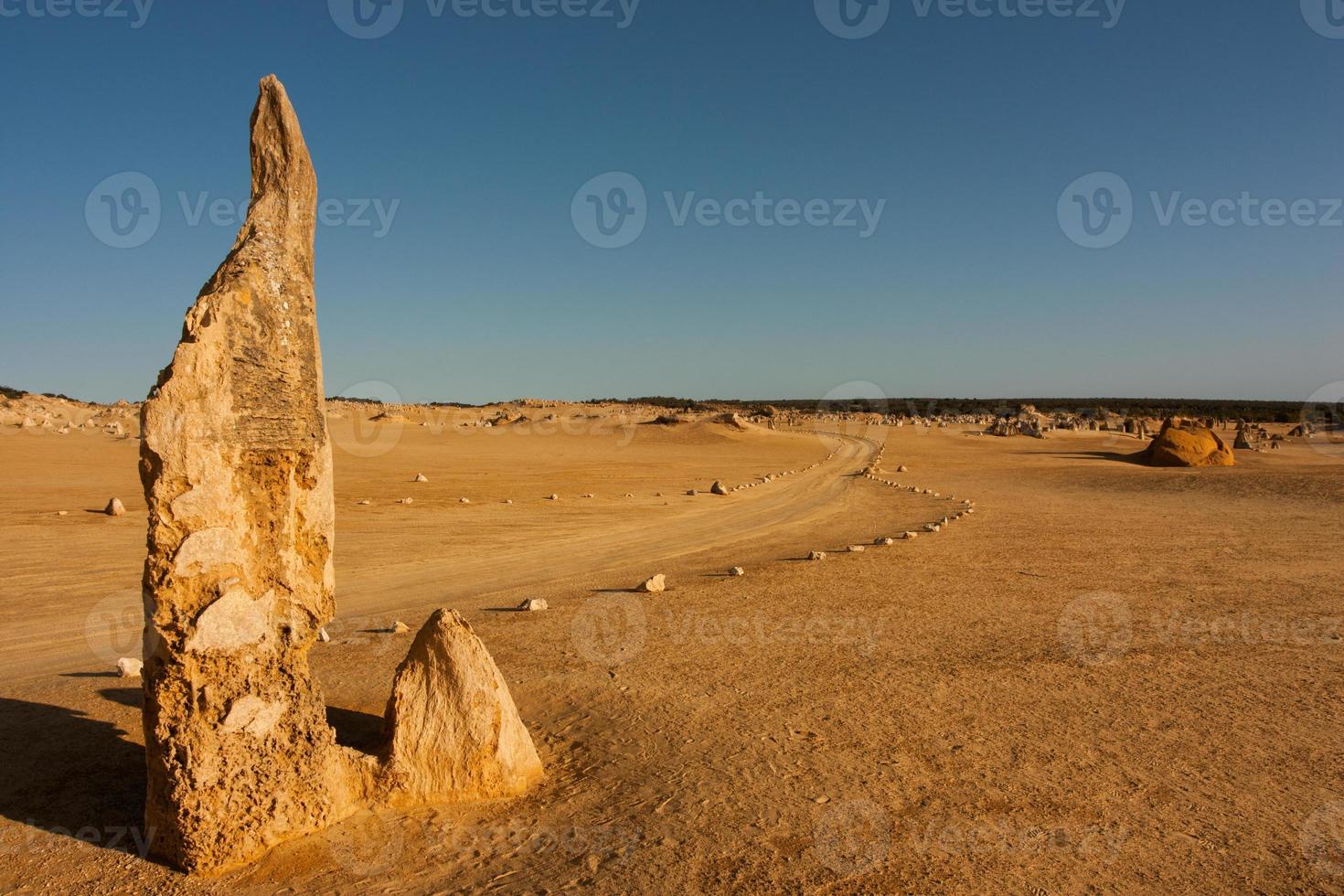 The Pinnacles of Nambung National Park are amazing natural limestone structures, some standing as high as five metres. Western Australia. photo