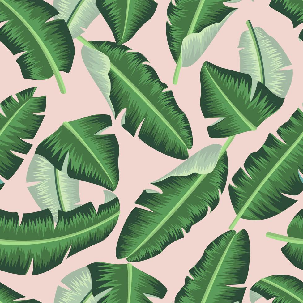 Floral seamless pattern with banana leaves. tropical background vector