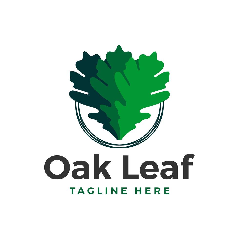 oak tree leaf illustration logo design vector