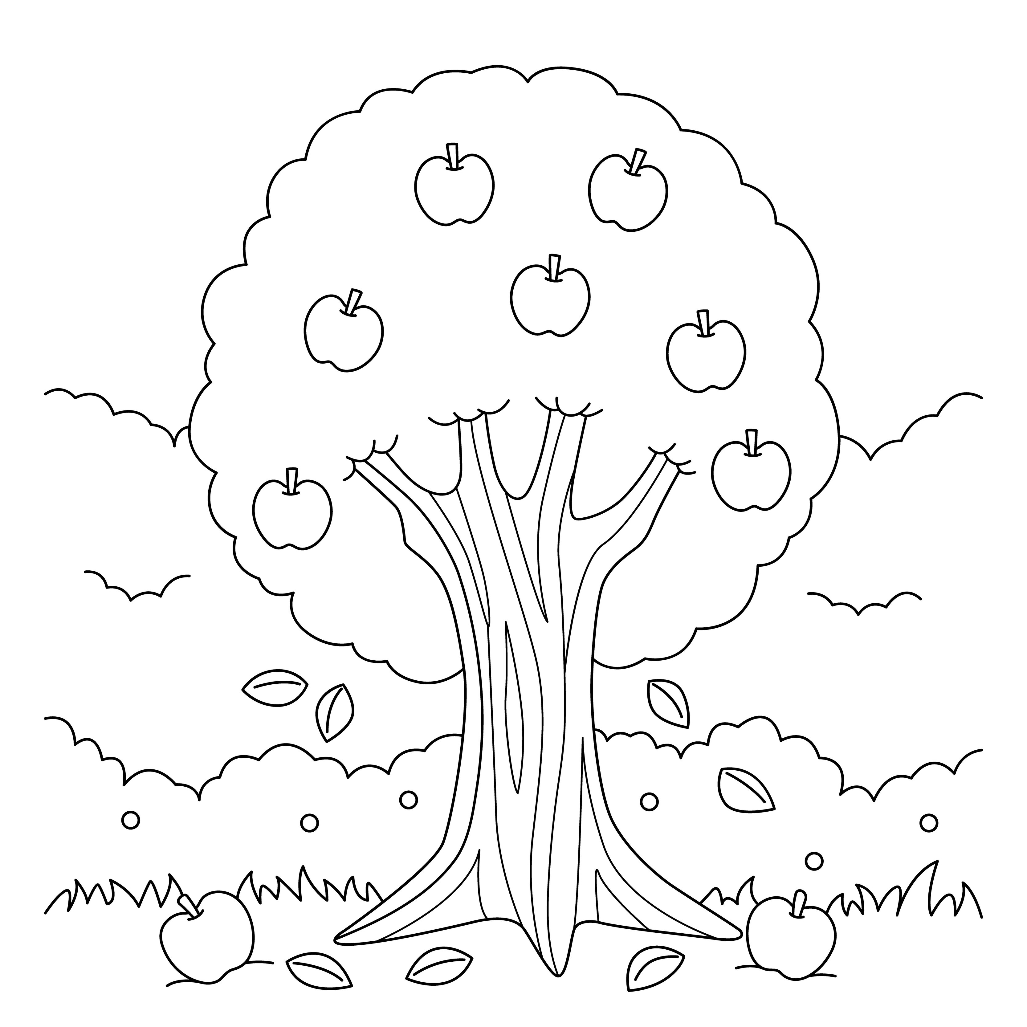 Apple Orchard Coloring Pages - Apple Tree Coloring Page For Kids Free Vector 