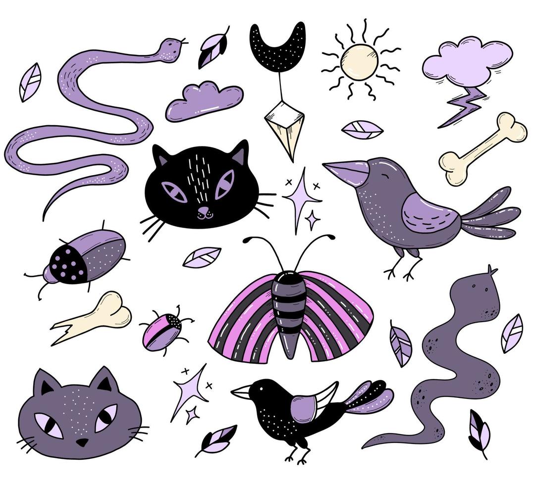 conjunto de amuletos mágicos, símbolos y bestias de brujería. gato negro y serpiente, cuervo y escarabajo, polilla y mariposa. ilustración vectorial elementos aislados vector