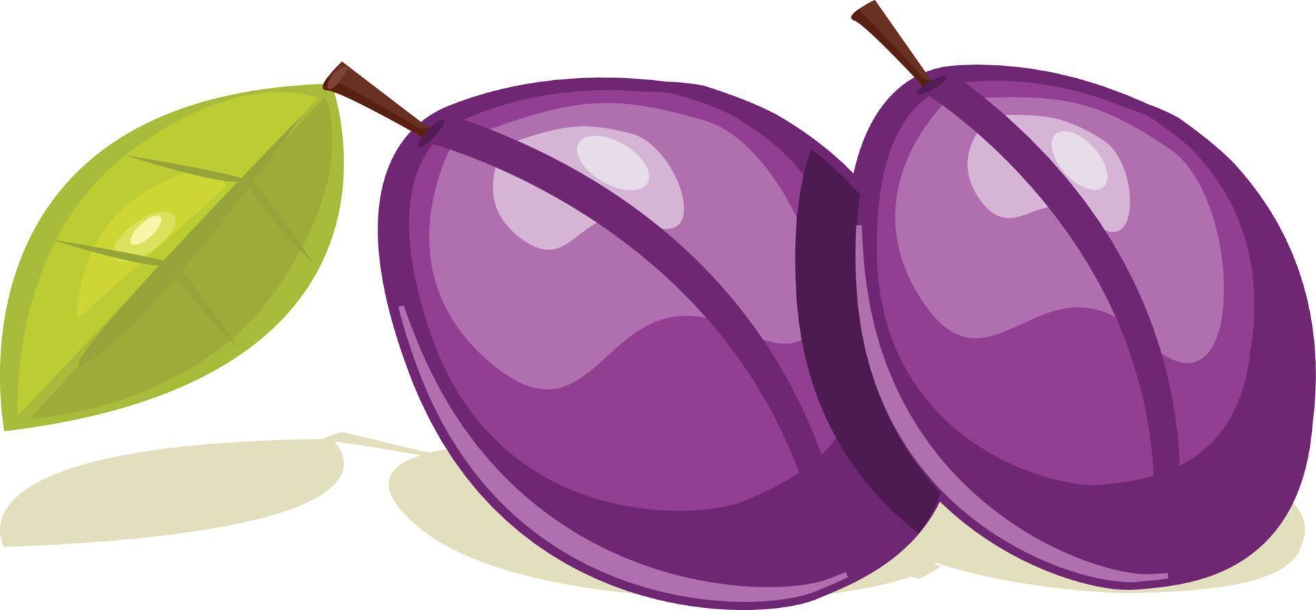 Damson plum vegetable vector