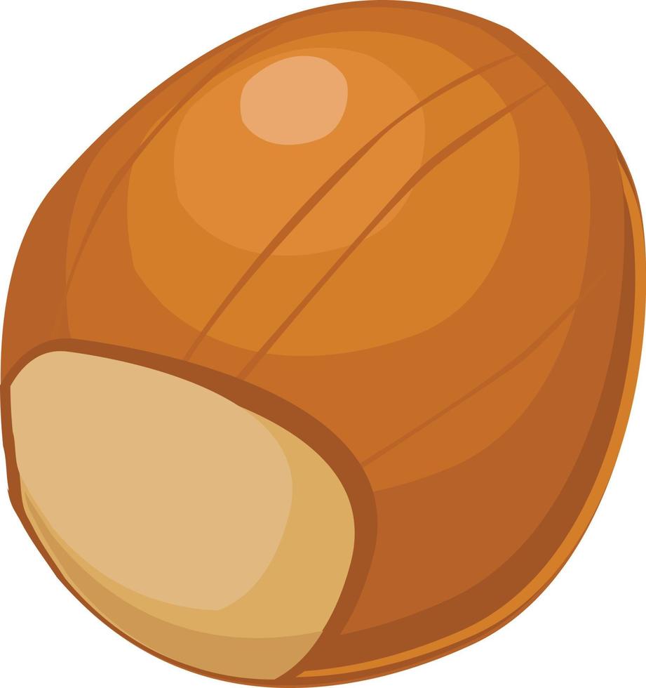 Hazelnut fruit vector