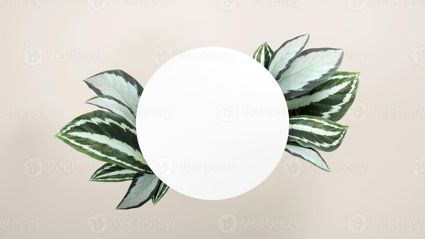 3D illustration rendering image of empty space mockup podium nature themed for product display photo