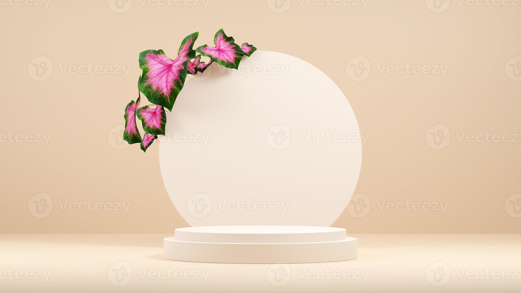 3D illustration rendering image of empty space mockup podium nature themed for product display photo