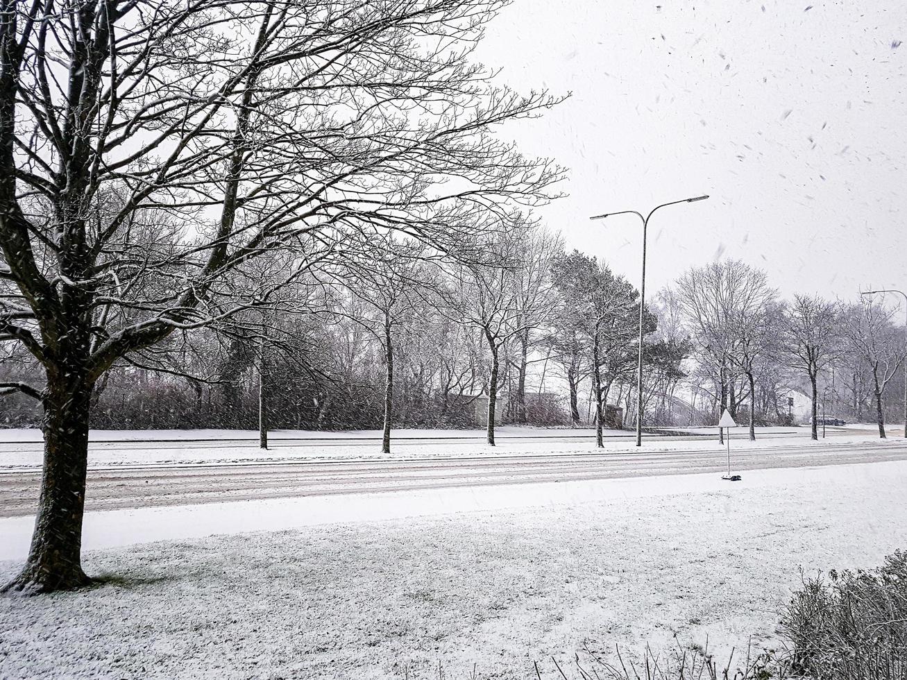 país de las maravillas de invierno en leherheide, nieve en bremerhaven, alemania. foto