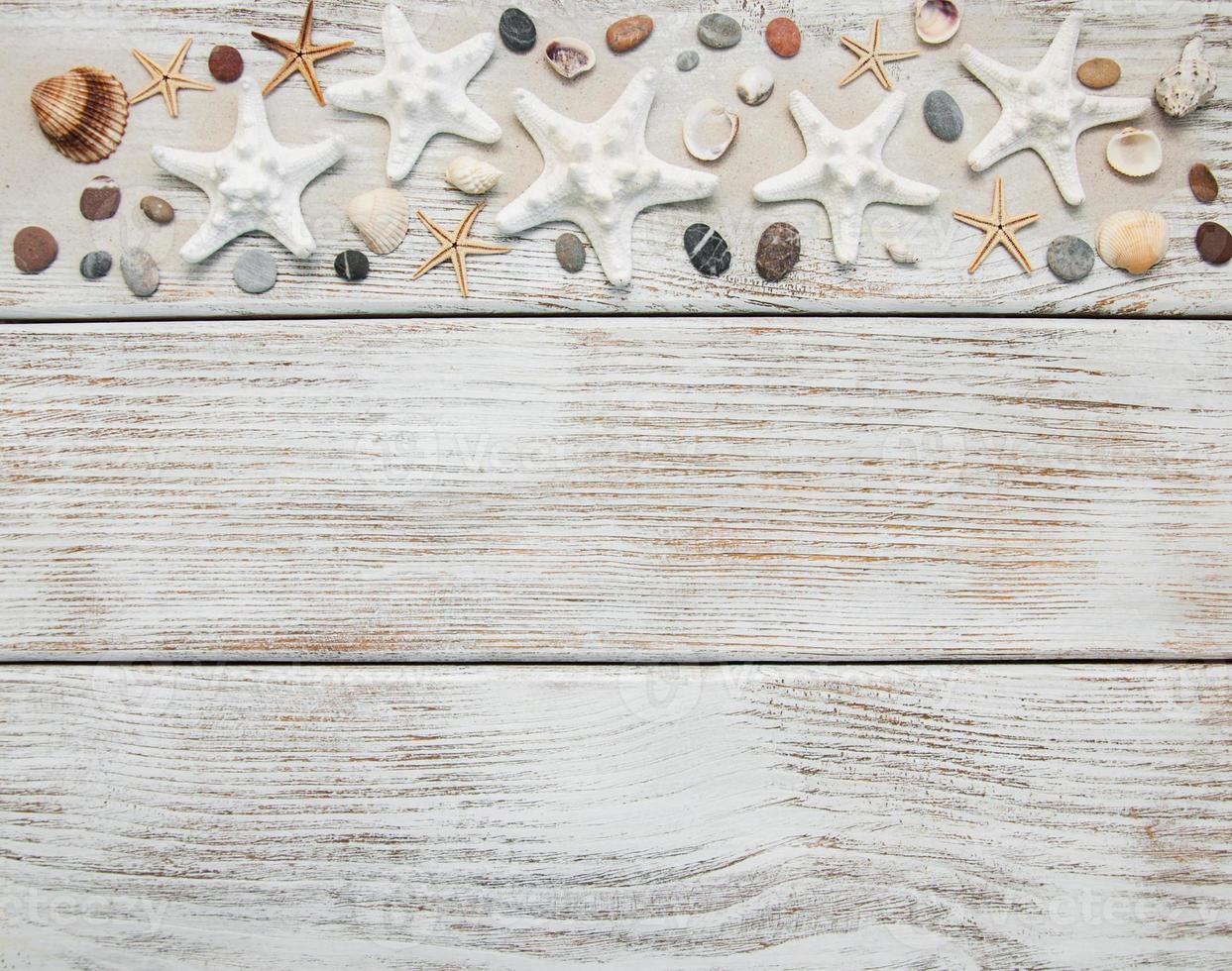 Seashells and starfish border photo