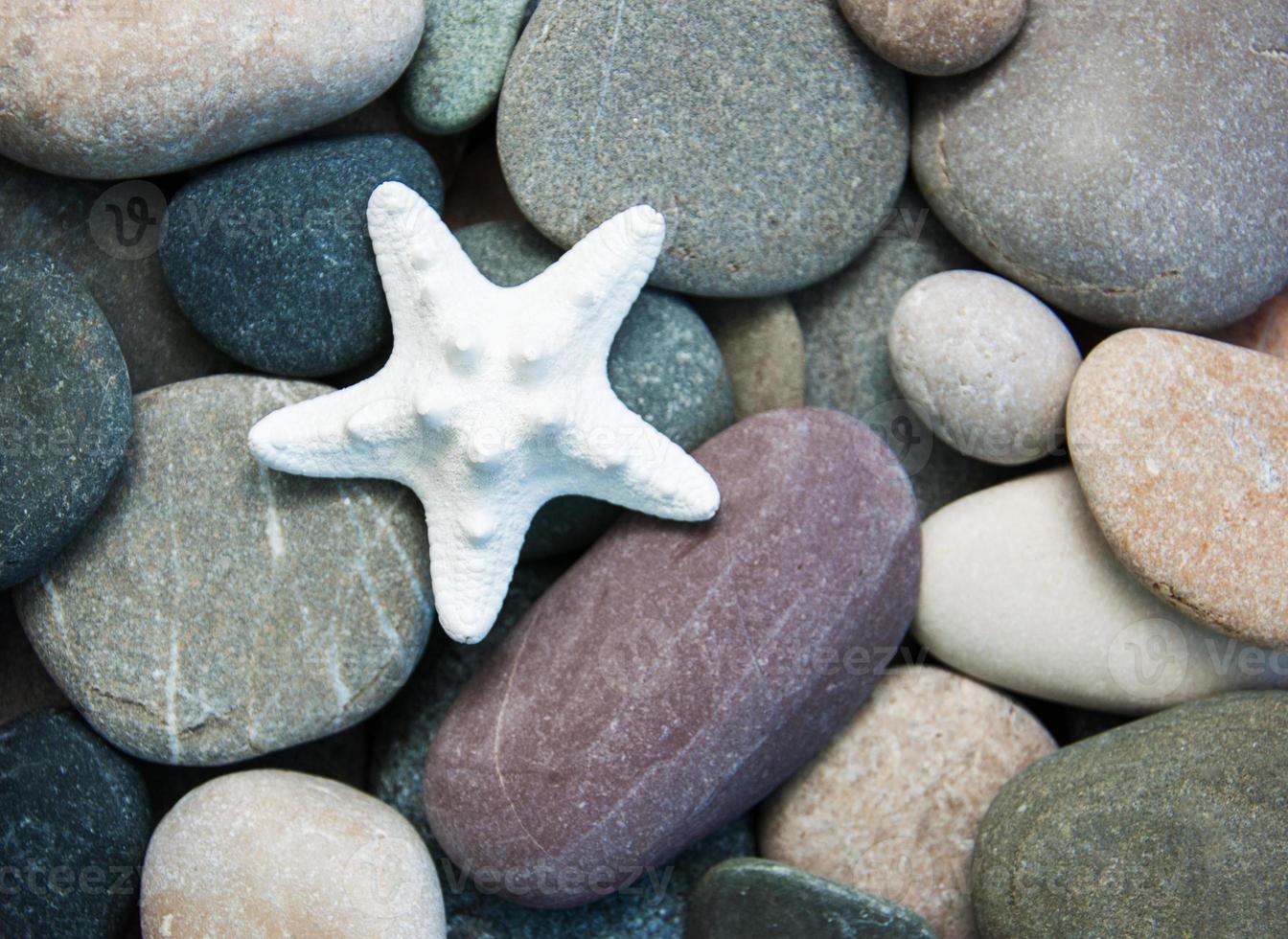 piedras de guijarros de mar y estrellas de mar foto