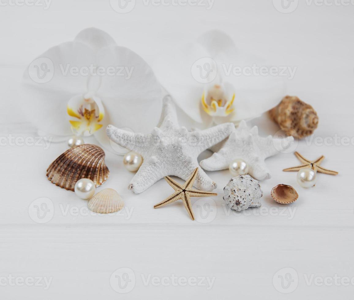 Shells, starfish and orchids photo