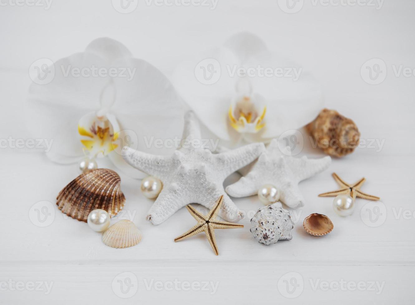 Shells, starfish and orchids photo