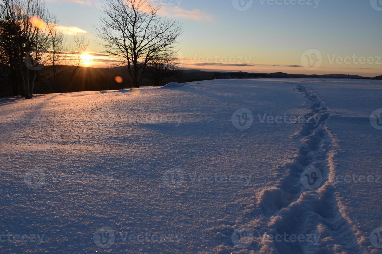 huellas en la nieve foto